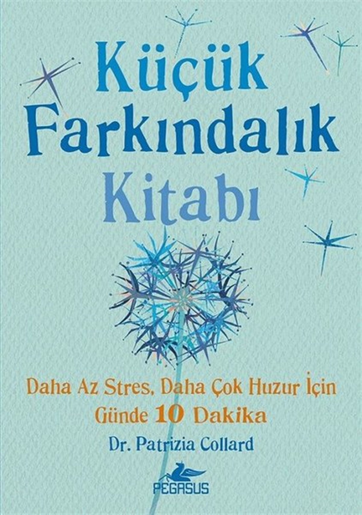 Patrizia CollardKişisel Gelişim KitaplarıKüçük Farkındalık Kitabı