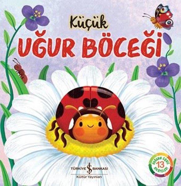 Katie TaylorEgitim Etkinlik KitaplariKüçük Uğur Böceği