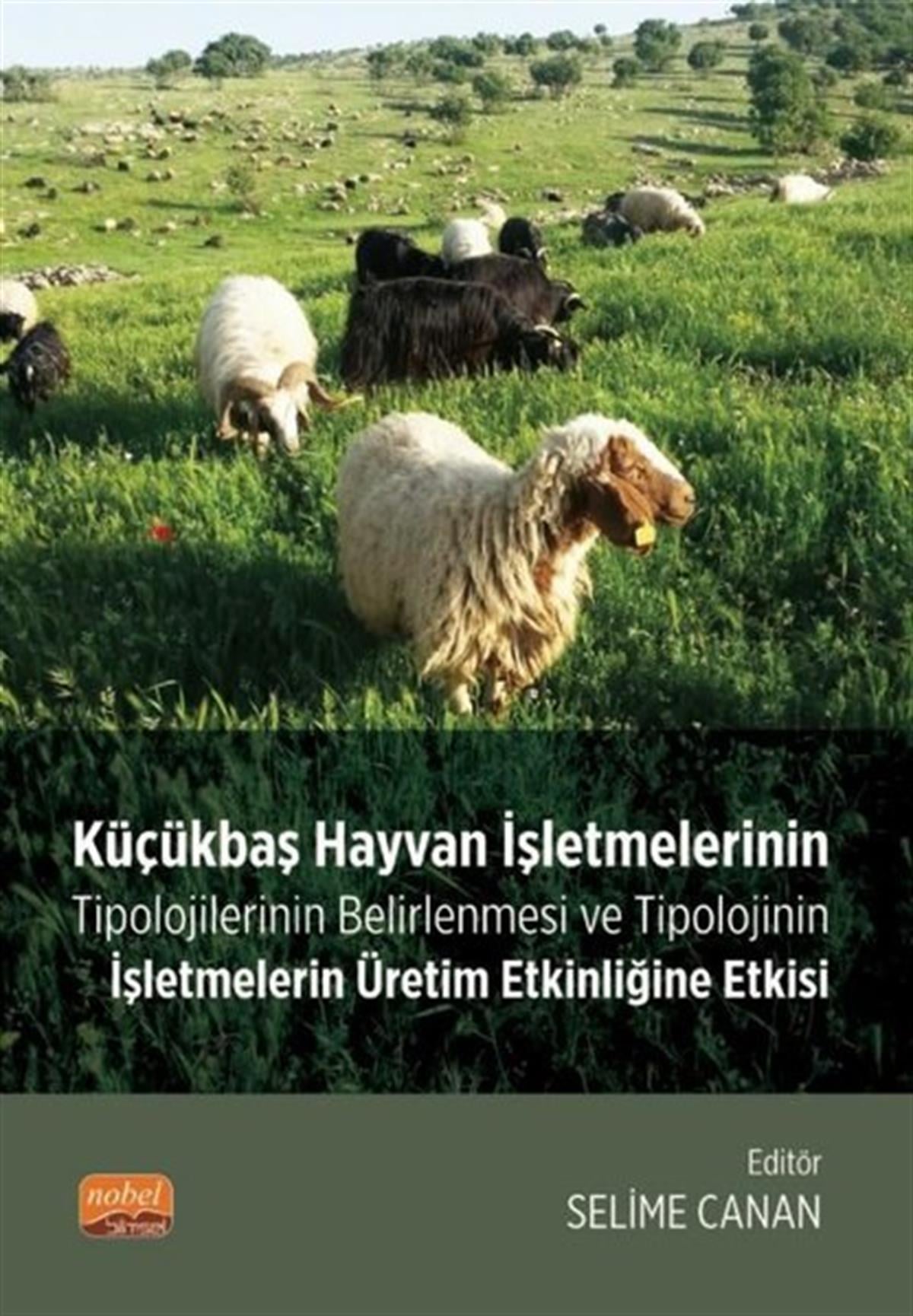 KolektifDigerKüçükbaş Hayvan İşletmelerinin Tipolojilerinin Belirlenmesi ve Tipolojinin İşletmelerin Üretim Etkin