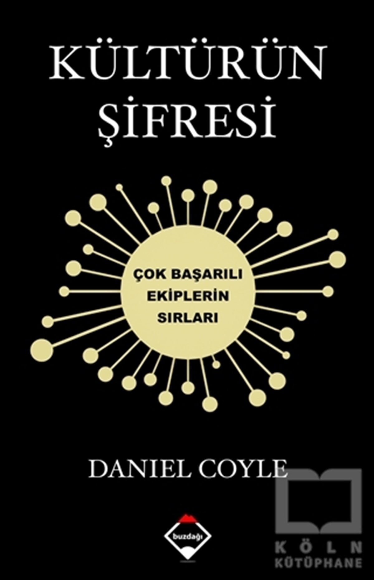 Daniel Coyleİş Dünyası KitaplarıKültürün Şifresi