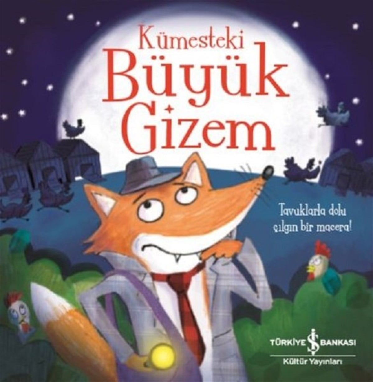 Anıl Ceren AltunkanatOkul Öncesi KitaplariKümesteki Büyük Gizem