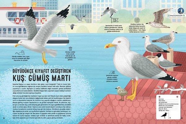 Emrah ÇoramanÇocuk Gençlik RomanlarıKuş Atlası
