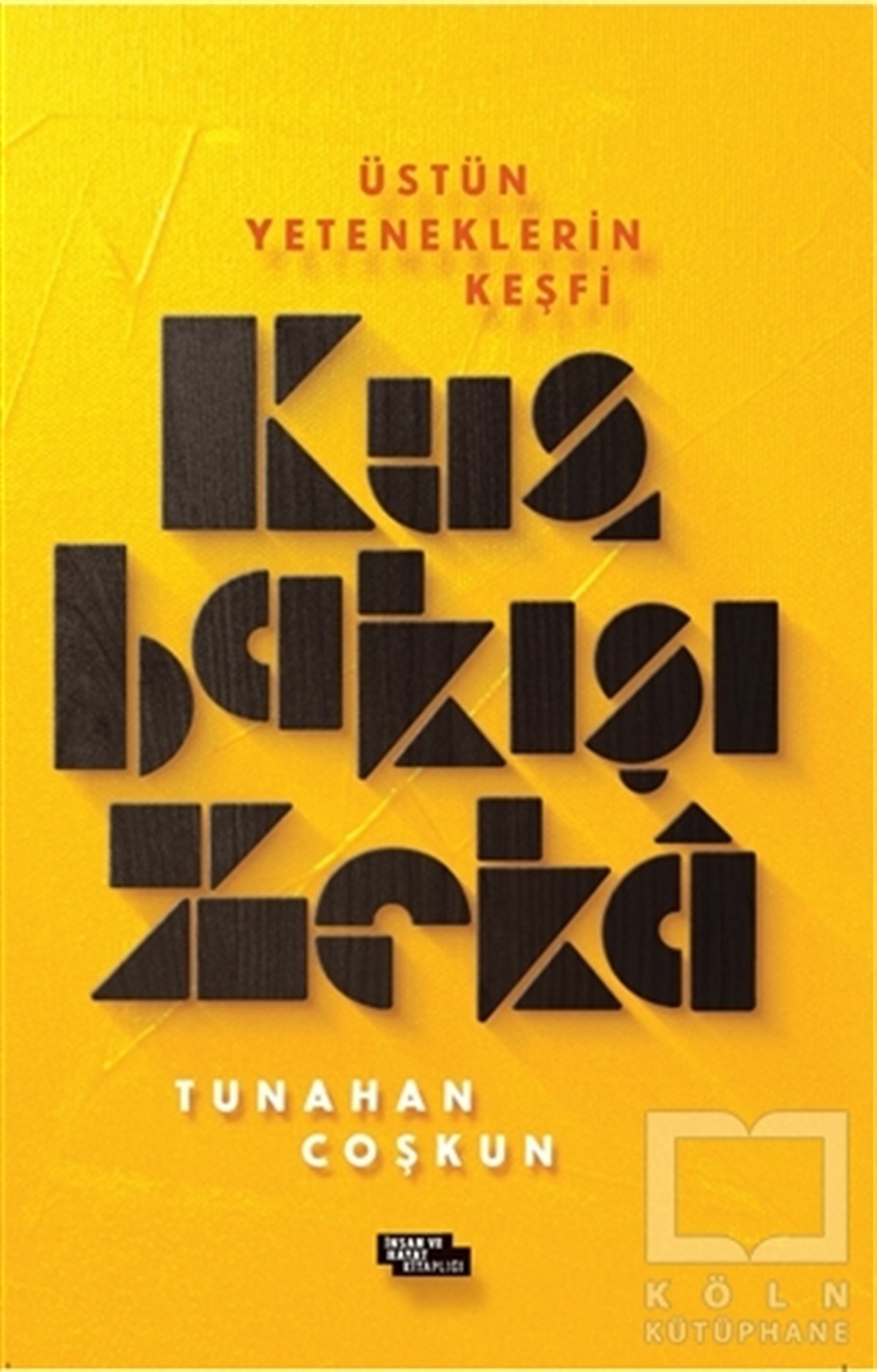 Kuş Bakışı Zeka