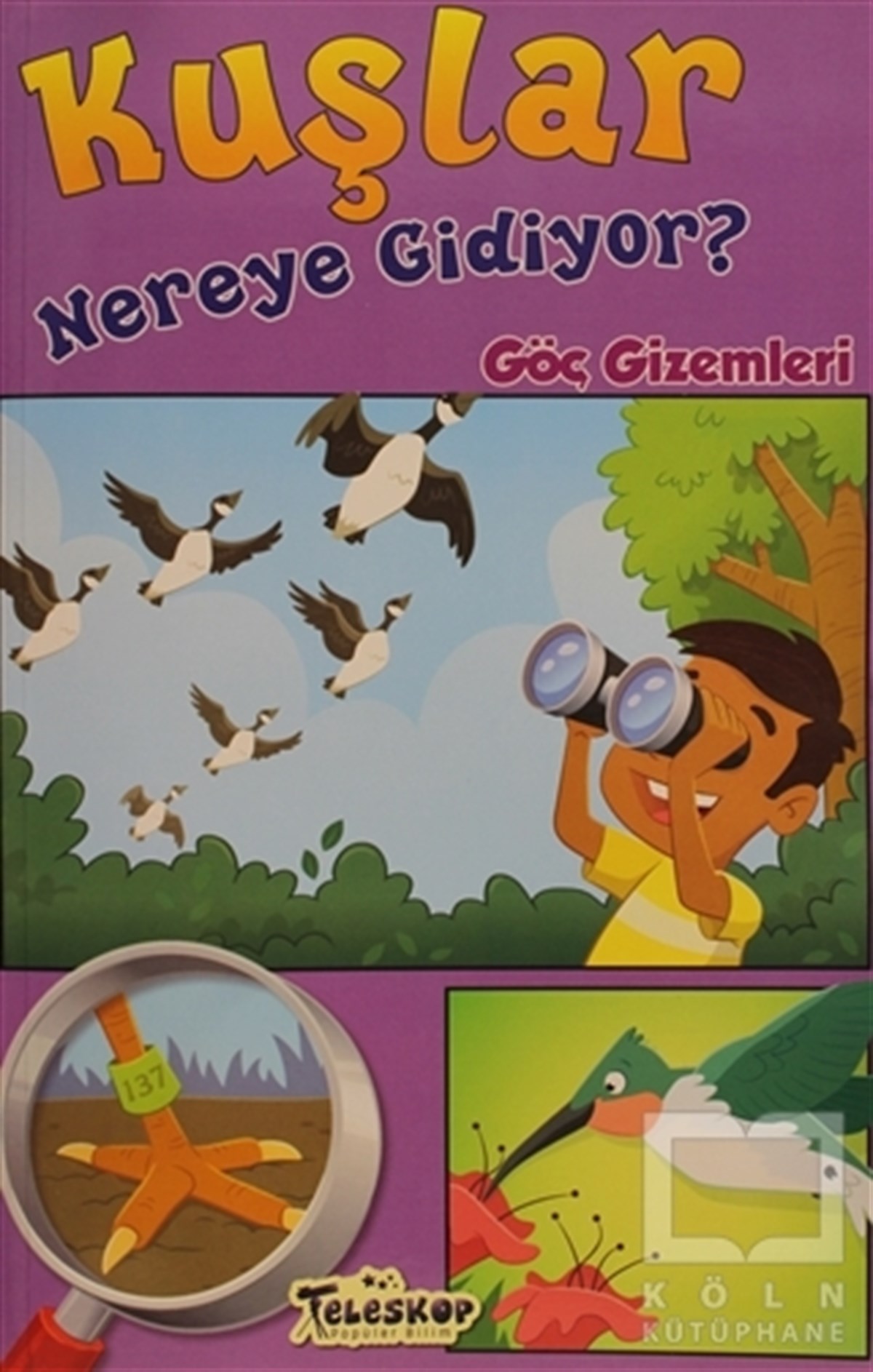 Rebecca OlienHikayelerKuşlar Nereye Gidiyor?