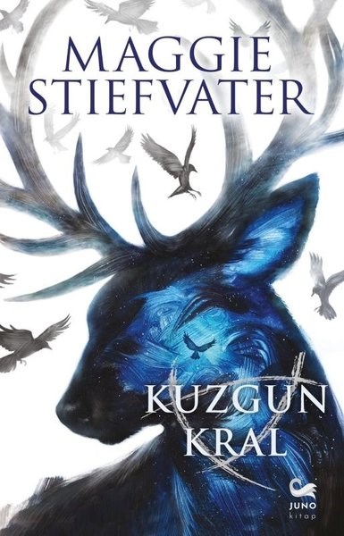 Maggie StiefvaterFantastik Kitaplar & Fantastik RomanlarKuzgun Kral