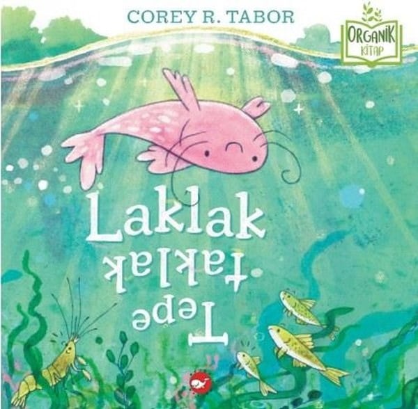 Corey R. TaborEgitim Etkinlik KitaplariLaklak Tepetaklak - Organik Kitap