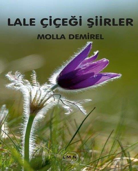Molla DemirelTürk ŞiiriLale Çiçeği Şiirler