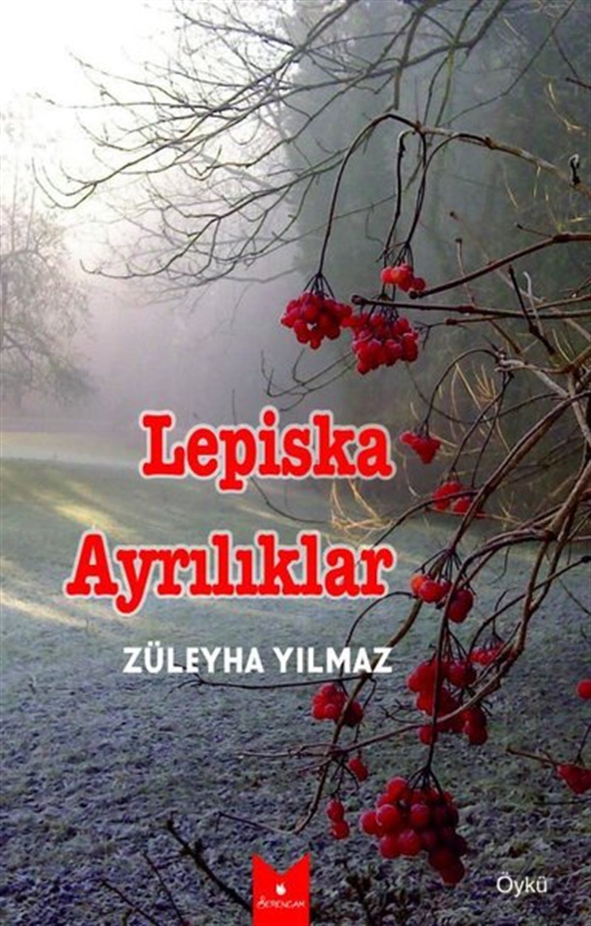 Züleyha YılmazTürkiye RomanLepiska Ayrılıklar
