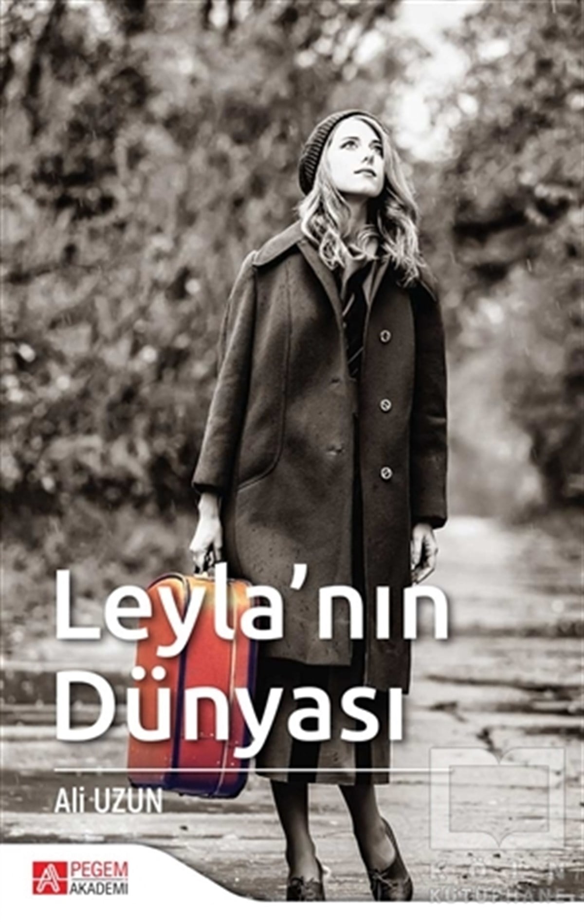 Ali UzunRomanLeyla'nın Dünyası