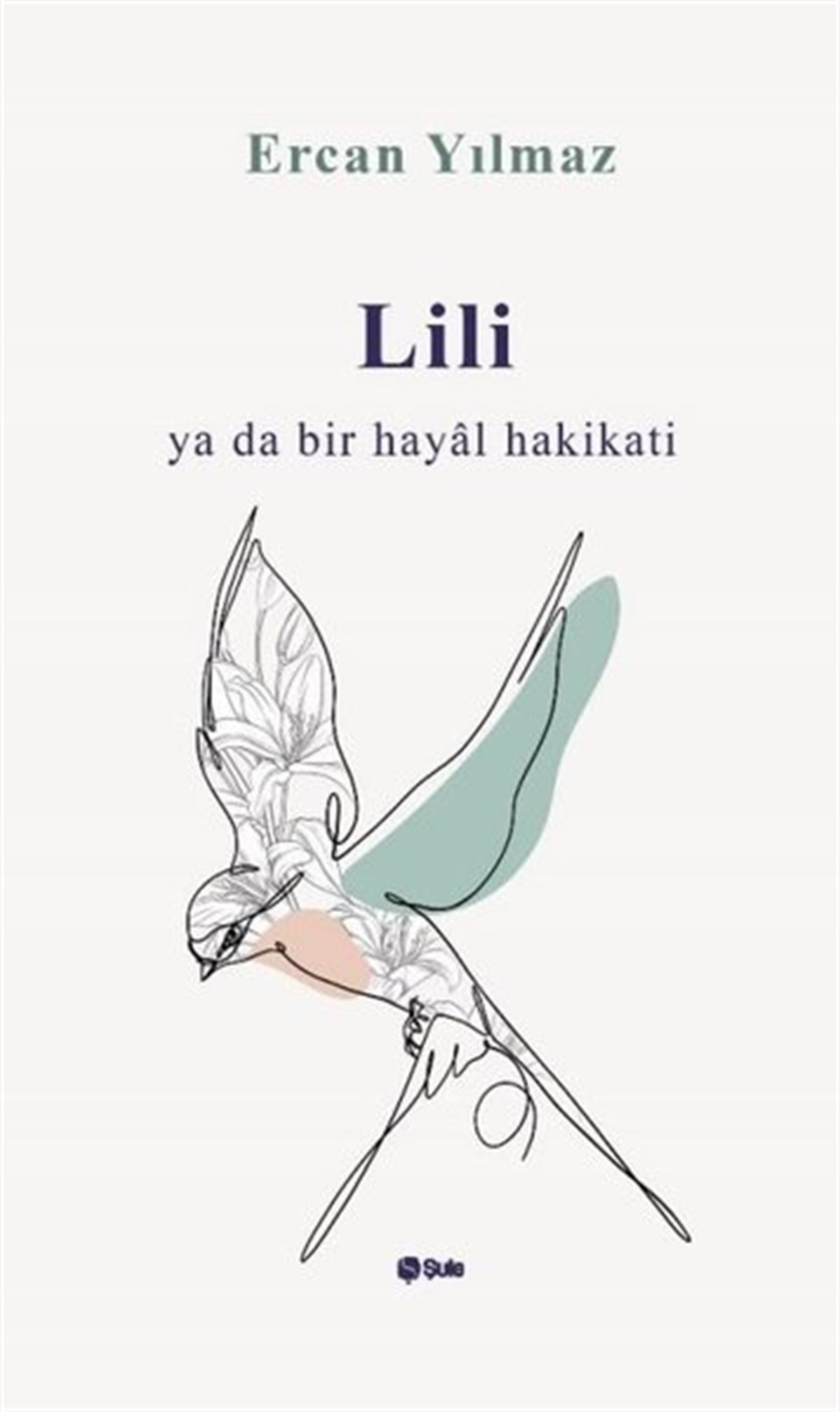 Ercan YılmazDeneme KitaplarıLili ya da Bir Hayal Hakikati