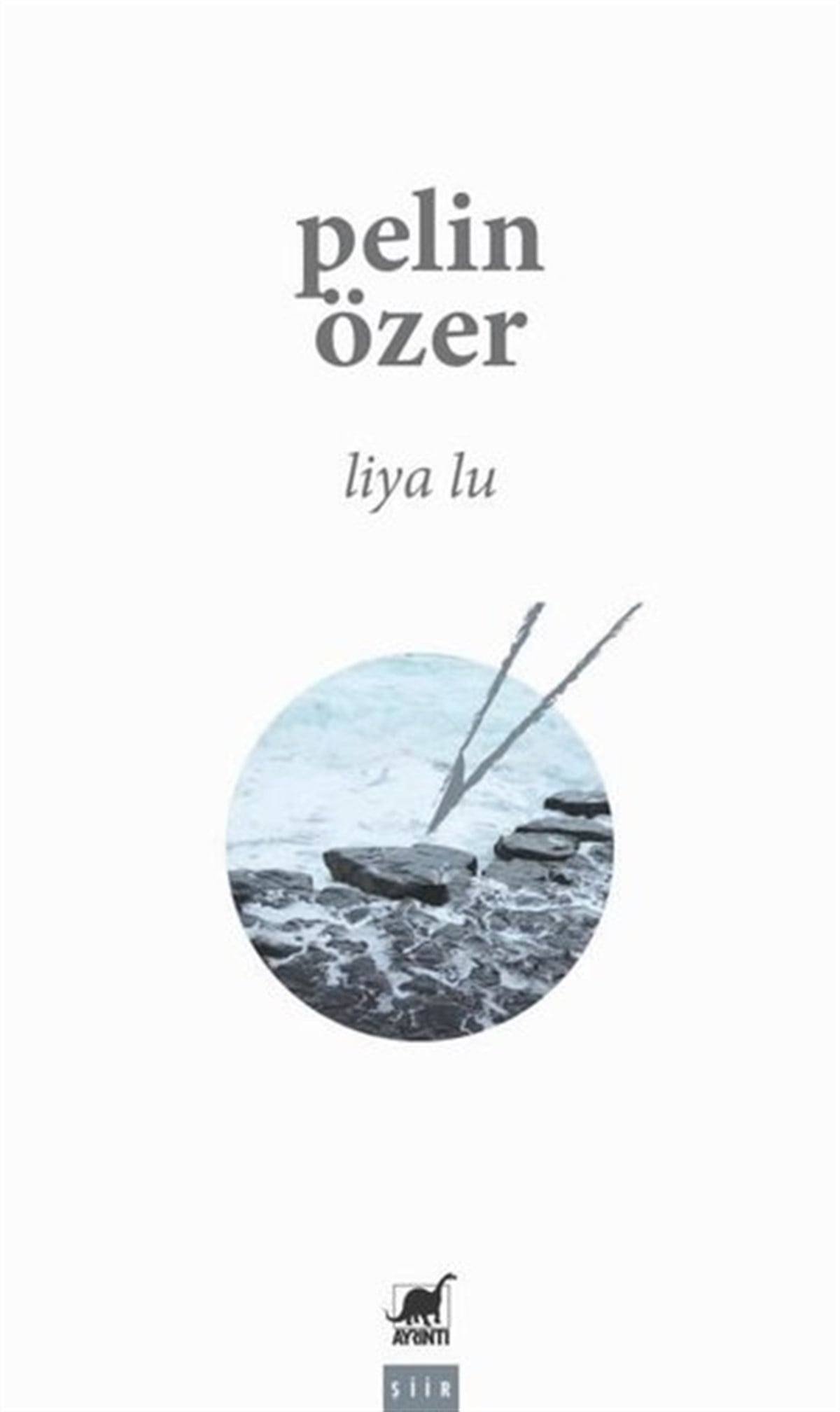 Pelin ÖzerTürk ŞiiriLiya Lu