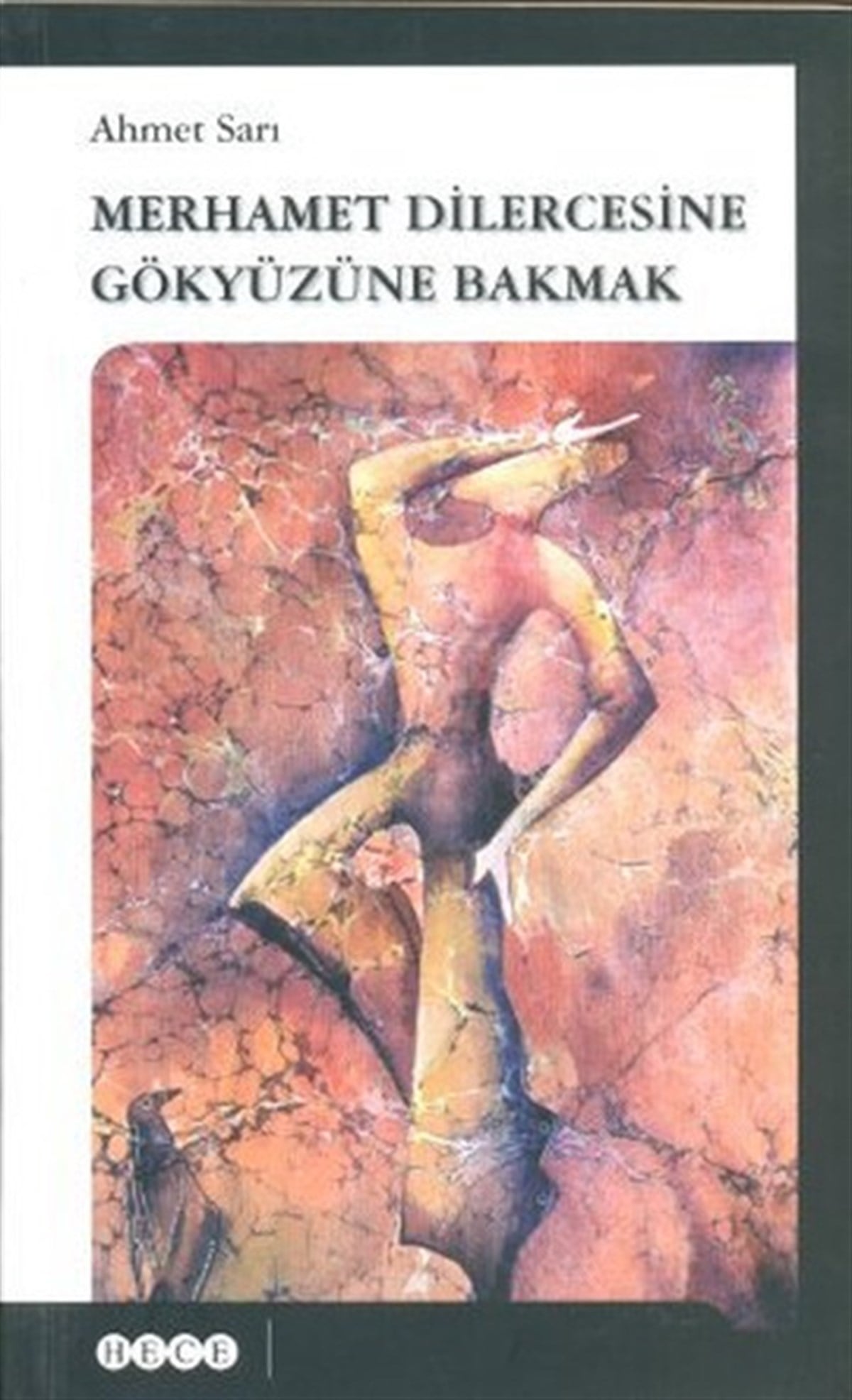 Bülent GülerHikaye (Öykü) KitaplarıMerhamet Dilercesine Gökyüzüne Bakmak