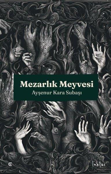 Ayşenur Kara SubaşıHikaye (Öykü) KitaplarıMezarlık Meyvesi