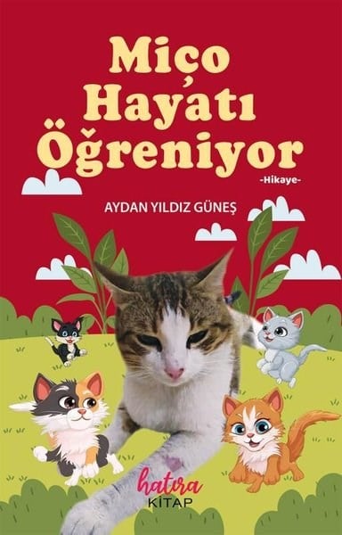 Aydan Yıldız GüneşÇocuk Gençlik RomanlarıMiço Hayatı Öğreniyor