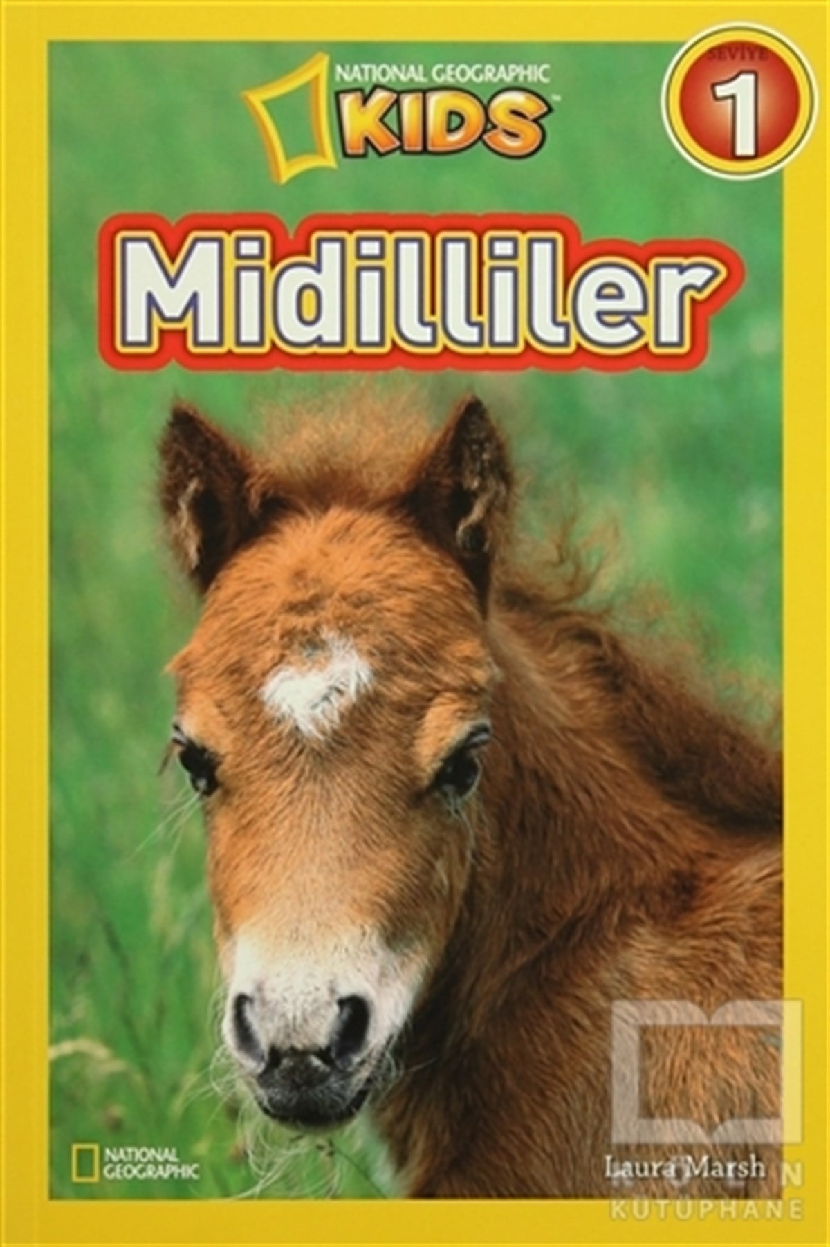 Midilliler