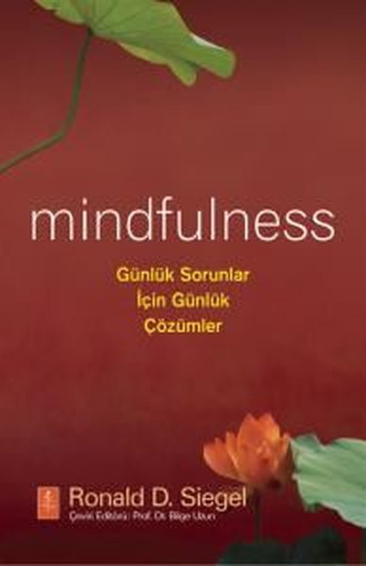 Ronald D. SiegelPsikoloji BilimiMindfulness: Günlük Sorunlar için Çözümler