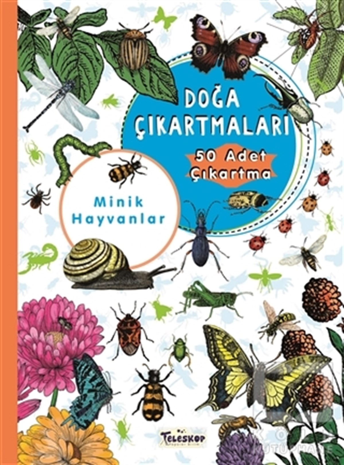KolektifÇıkartmalı KitaplarMinik Hayvanlar Doğa Çıkartmaları