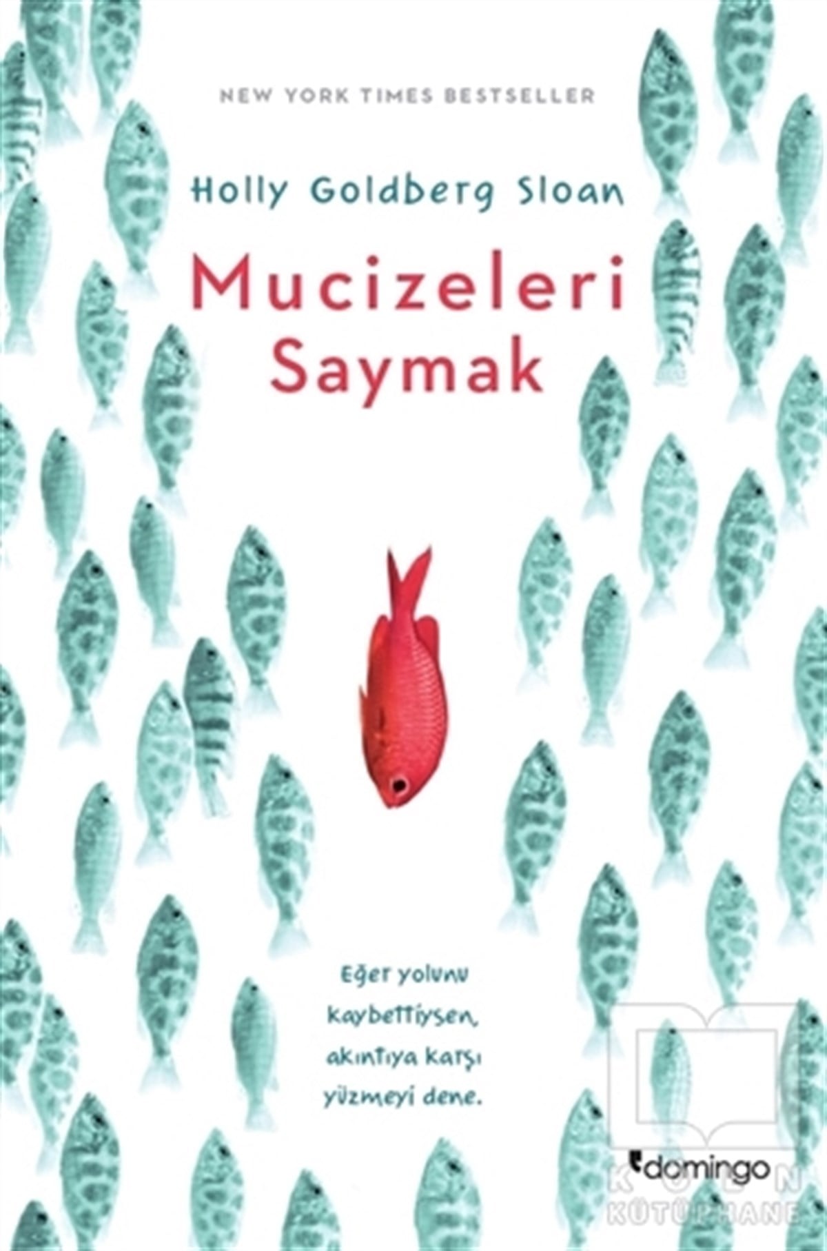 Mucizeleri Saymak