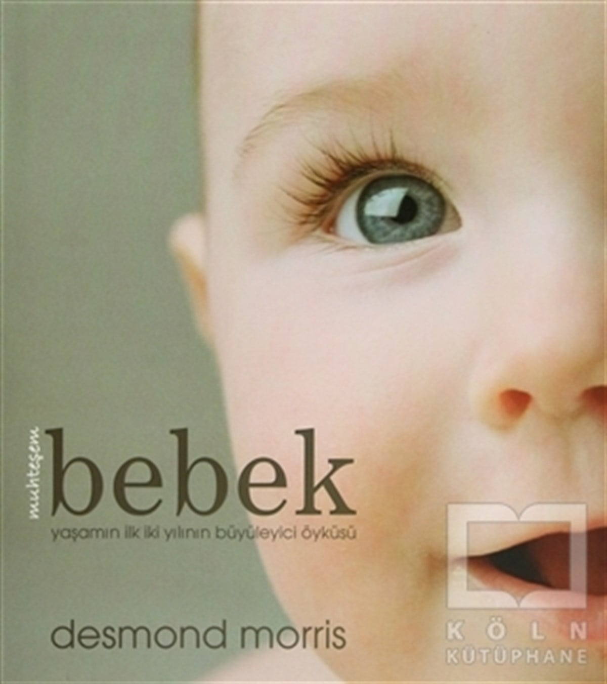 Muhteşem Bebek