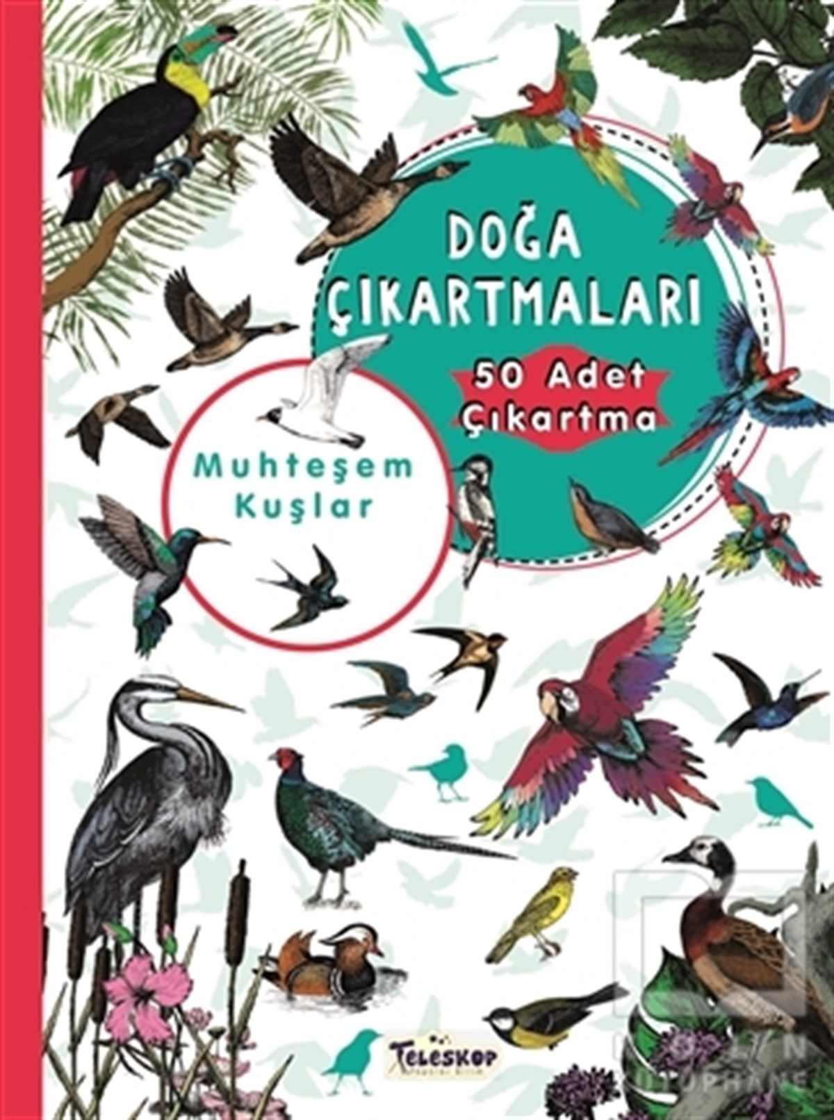 KolektifÇıkartmalı KitaplarMuhteşem Kuşlar Doğa Çıkartmaları