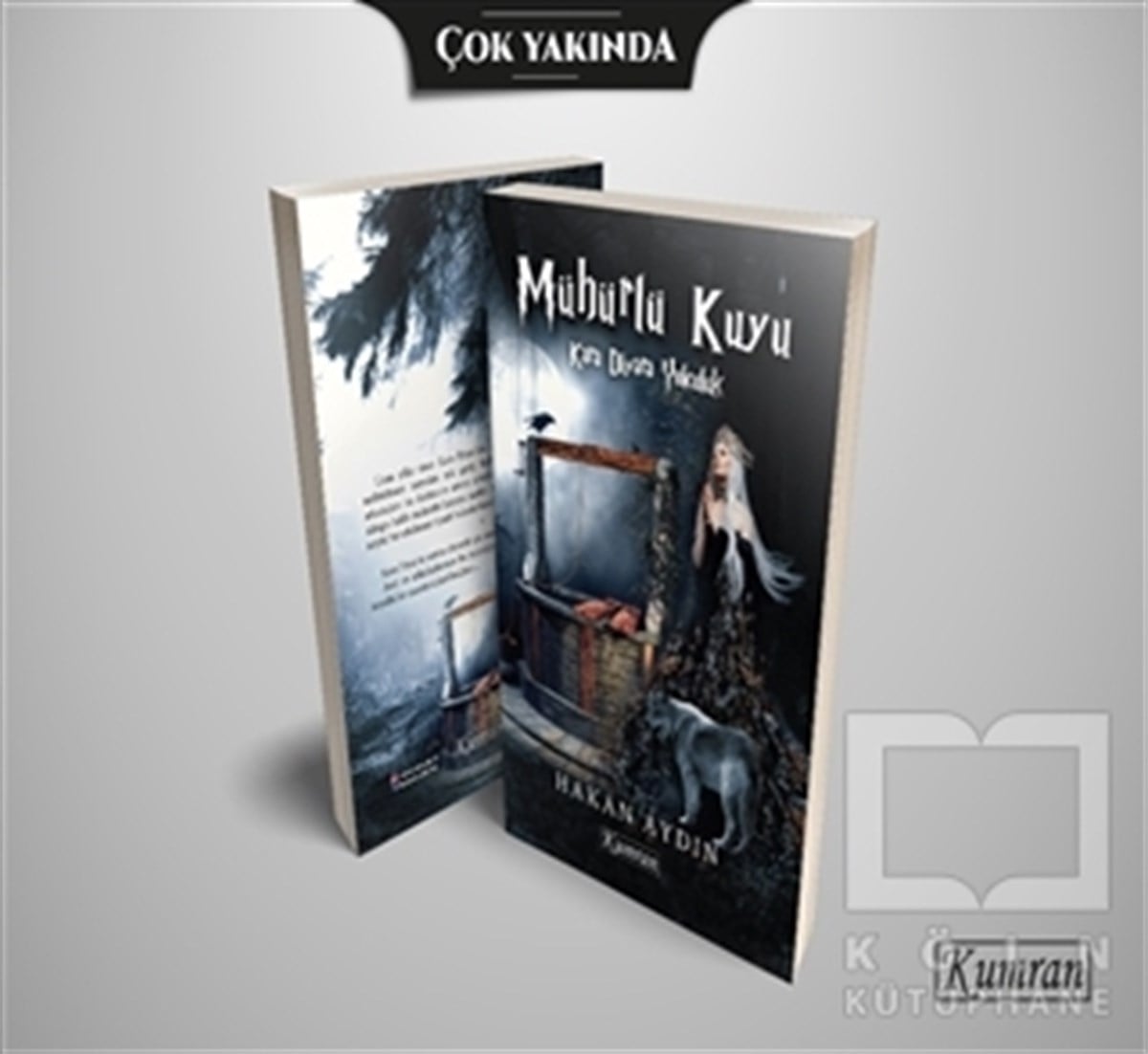 Hakan AydınFantastik Kitaplar & Fantastik RomanlarMühürlü Kuyu - Kara Diyara Yolculuk