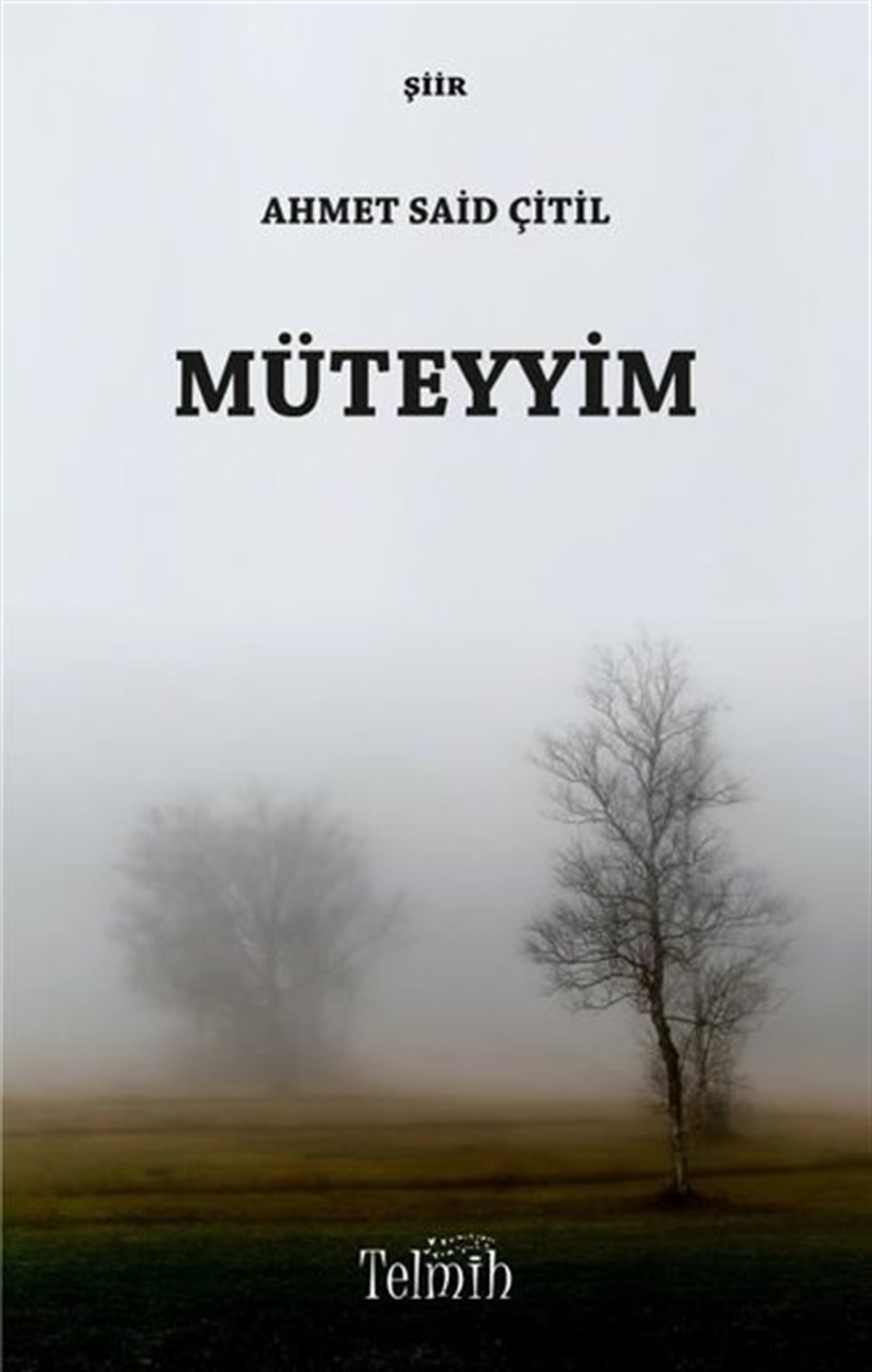 Ahmet Said ÇitilTürk ŞiiriMüteyyim
