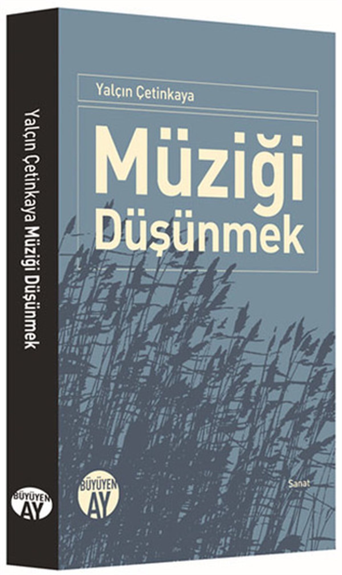 Yalçın ÇetinkayaMüzik KitaplarıMüziği Düşünmek