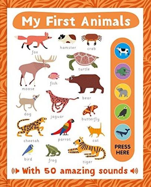 Autumn PublishingPreschoolMy First Animals