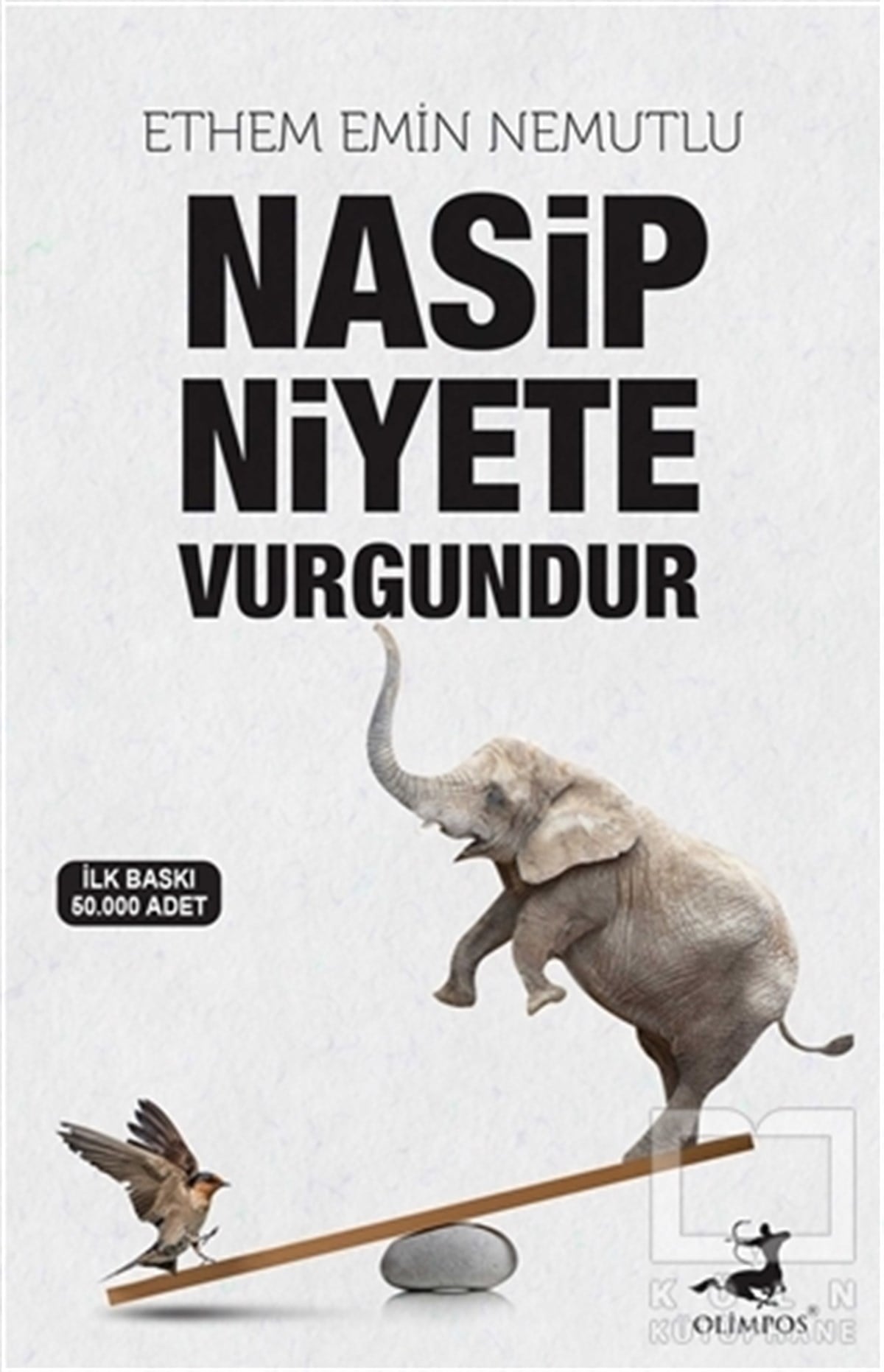 Ethem Emin NemutluDenemeNasip Niyete Vurgundur