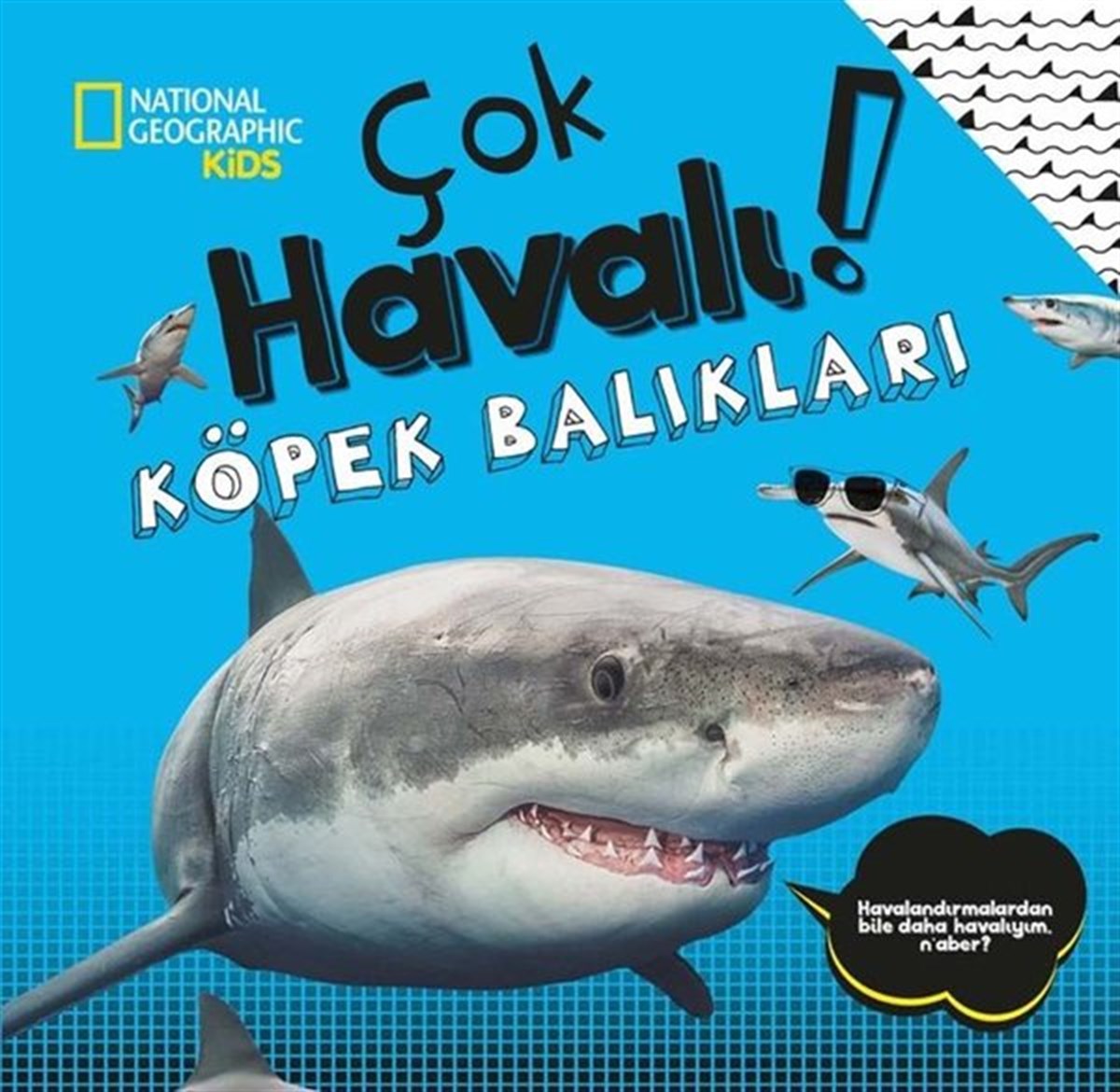 Crispin BoyerEgitim Etkinlik KitaplariNational Geographic Kids - Çok Havalı! Köpek Balıkları