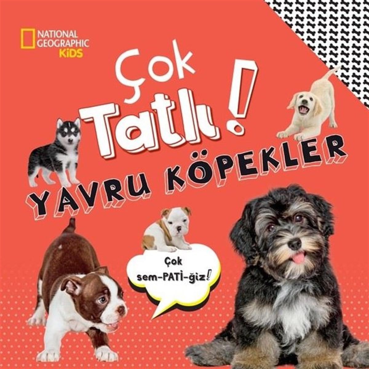 Crispin BoyerEgitim Etkinlik KitaplariNational Geographic Kids - Çok Tatlı! Yavru Köpekler