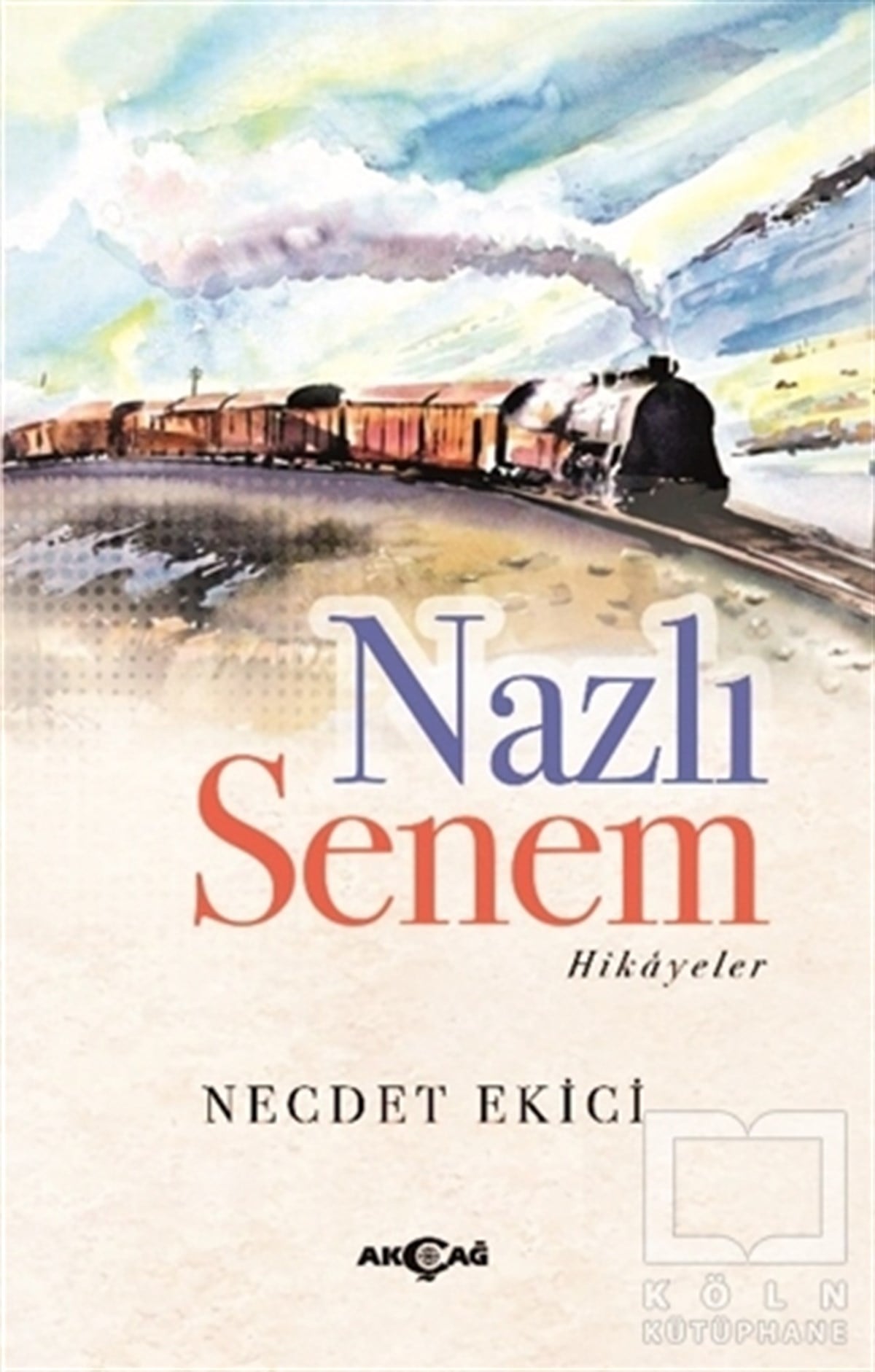 Necdet EkiciHikaye (Öykü) KitaplarıNazlı Senem