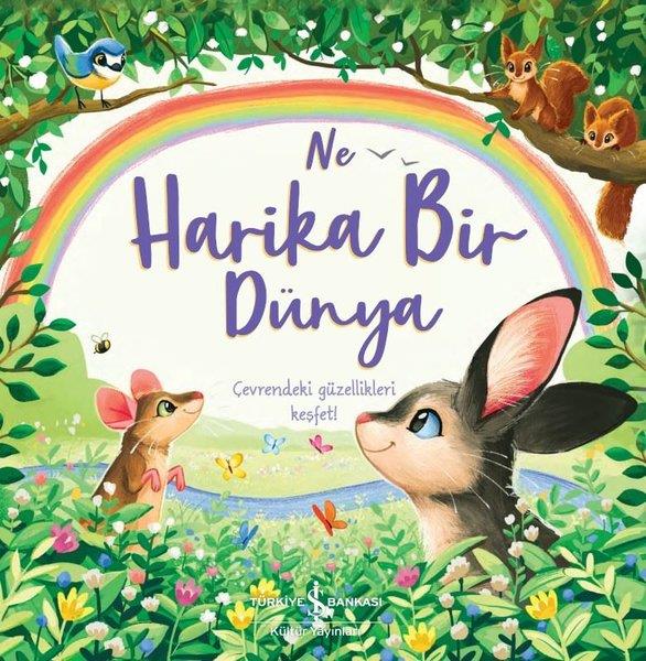 Hannah CamplingOkul Öncesi Çocuk Kitapları
