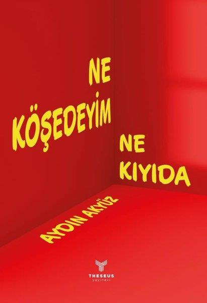 Aydın AkyüzTürk ŞiiriNe Köşedeyim Ne Kıyıda