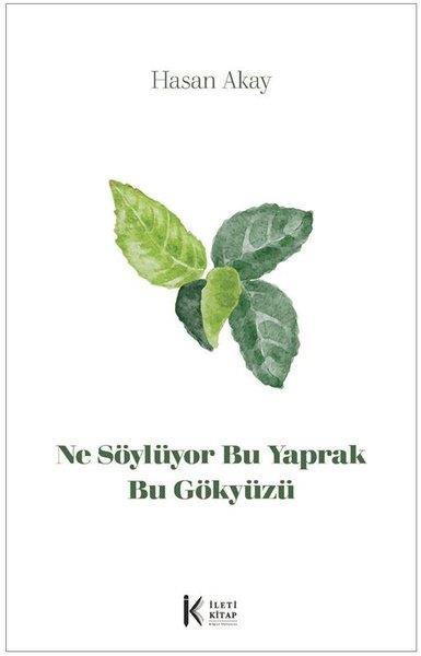 Hasan AkayEleştiri & Kuram & İnceleme KitaplarıNe Söylüyor Bu Yaprak Bu Gökyüzü
