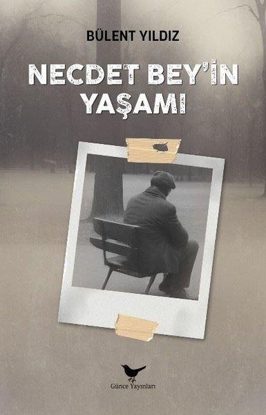 Bülent YıldızTürk RomaniNecdet Bey'in Yaşamı