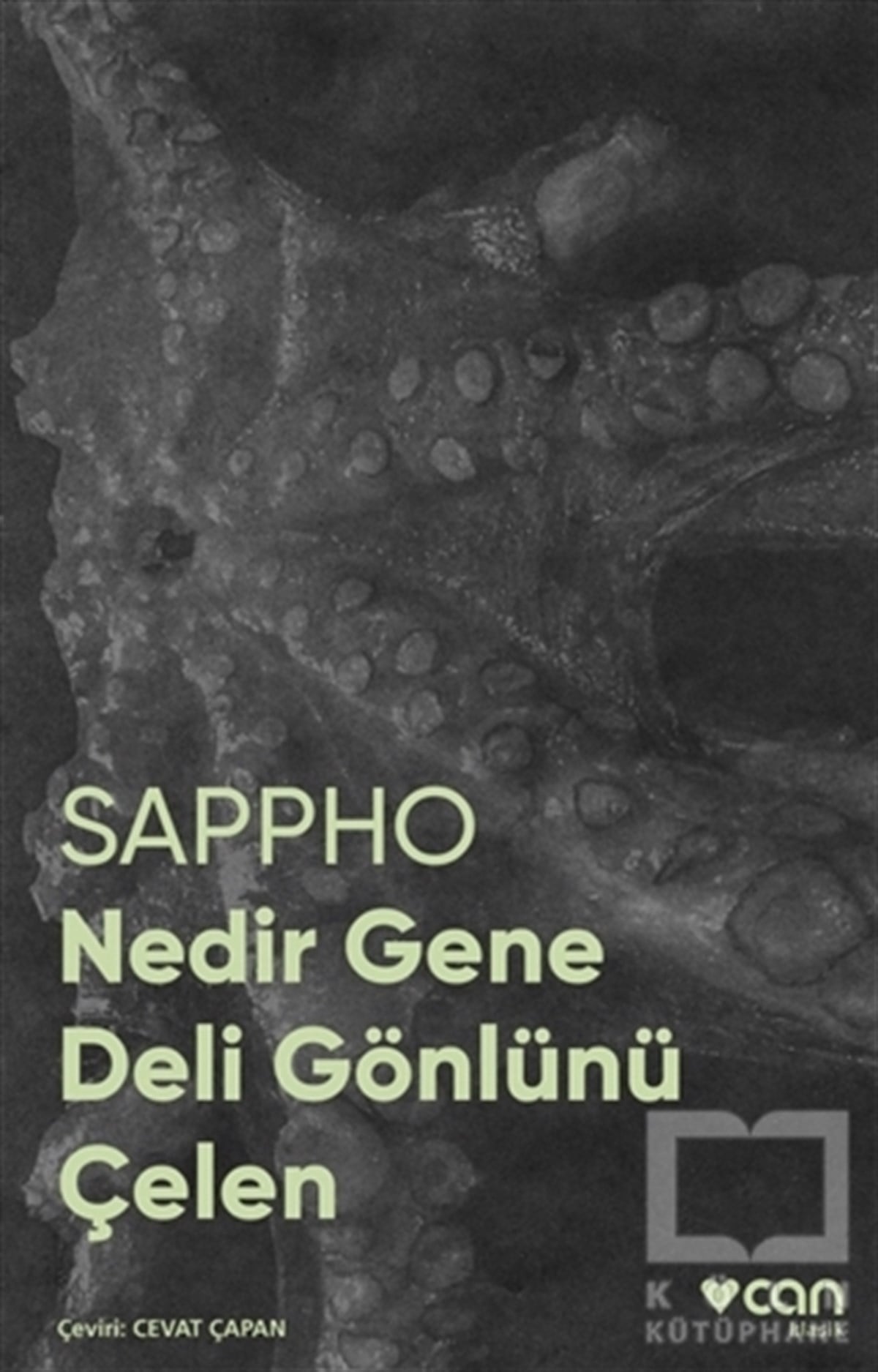 SapphoKlasiklerNedir Gene Deli Gönlünü Çelen (Fotoğraflı Klasikler)