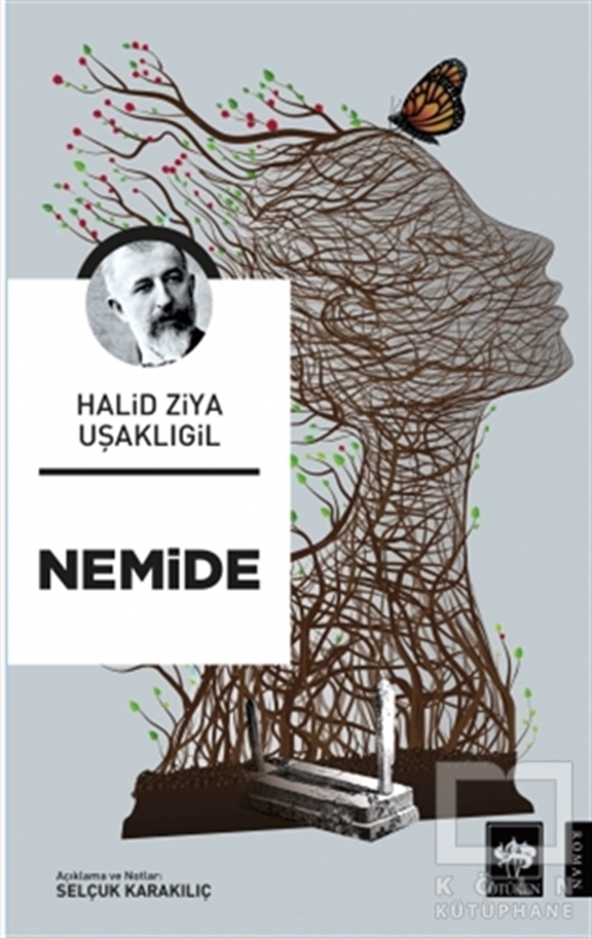 Halid Ziya UşaklıgilTürkçe RomanlarNemide