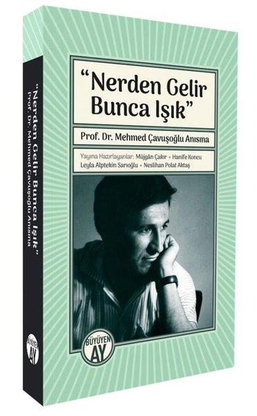 KolektifEleştiri & Kuram & İnceleme KitaplarıNerden Gelir Bunca Işık