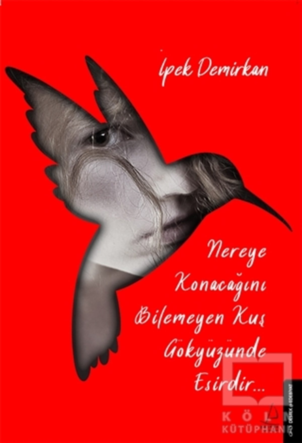 İpek DemirkanTürkçe RomanlarNereye Konacağını Bilmeyen Kuş Gökyüzünde Esirdir