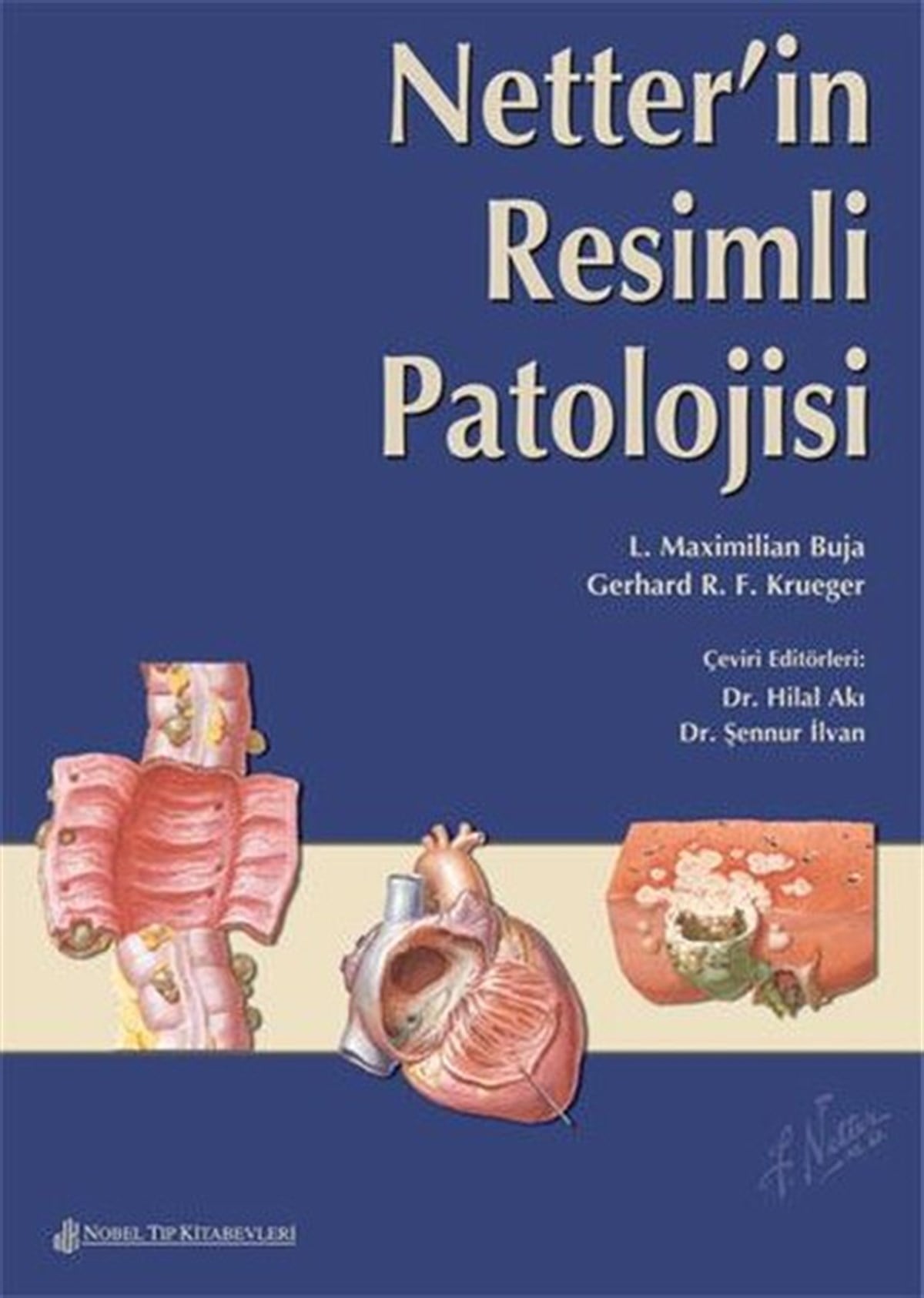 KolektifTıpNetter'İn Resimli Patolojisi