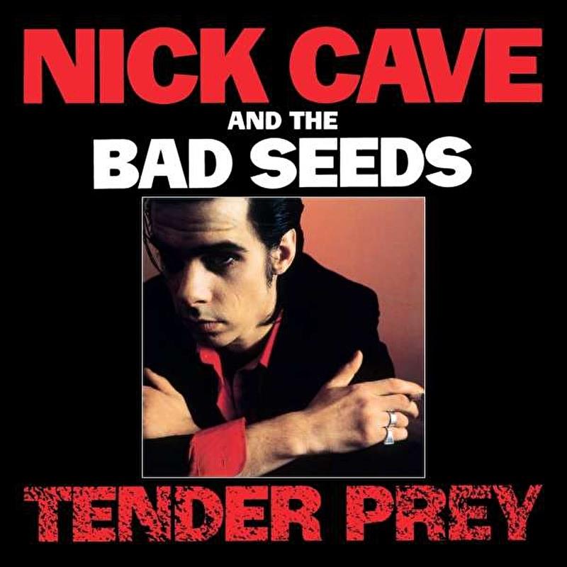 nick-cave-and-the-bad-seeds-tender-pre-c87f41.jpg