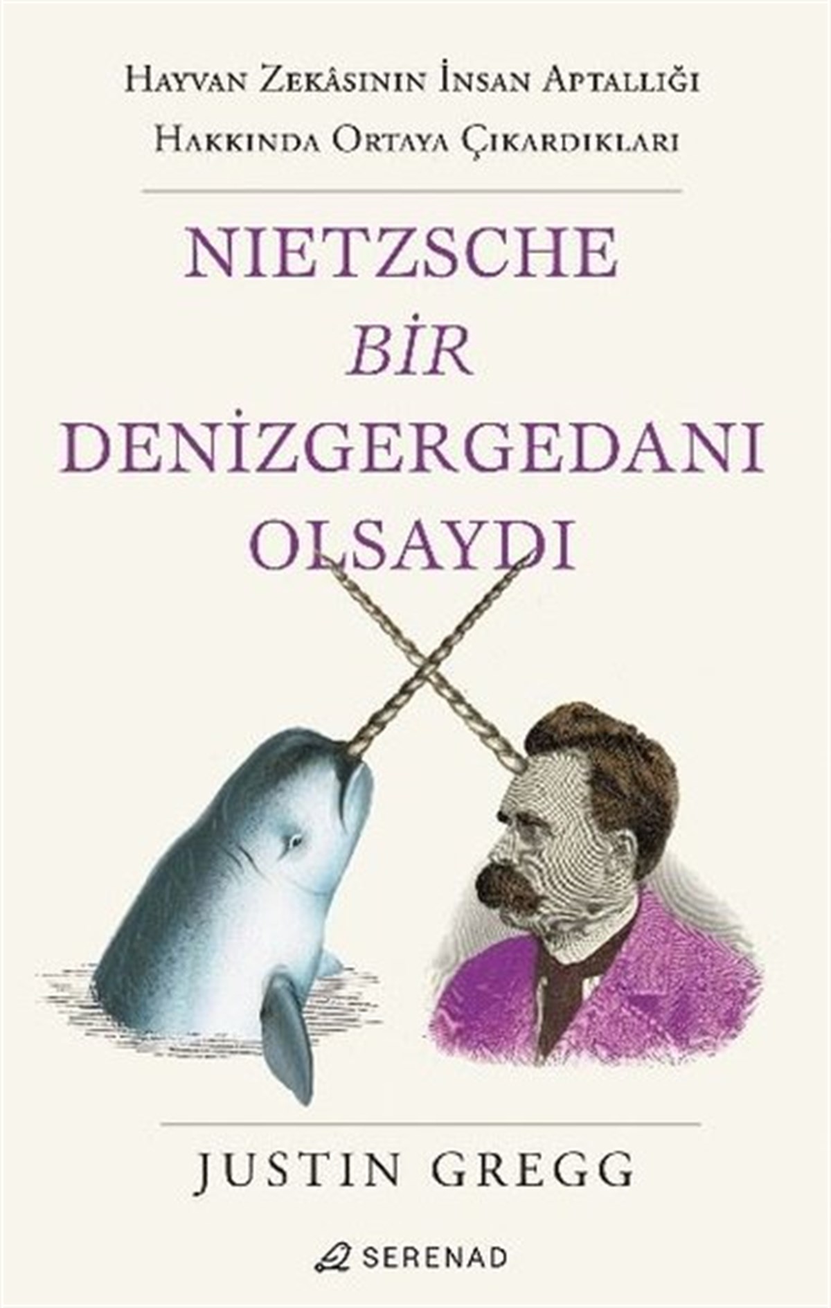 Justin GreggFelsefe BilimiNietzsche Bir Denizgergedanı Olsaydı