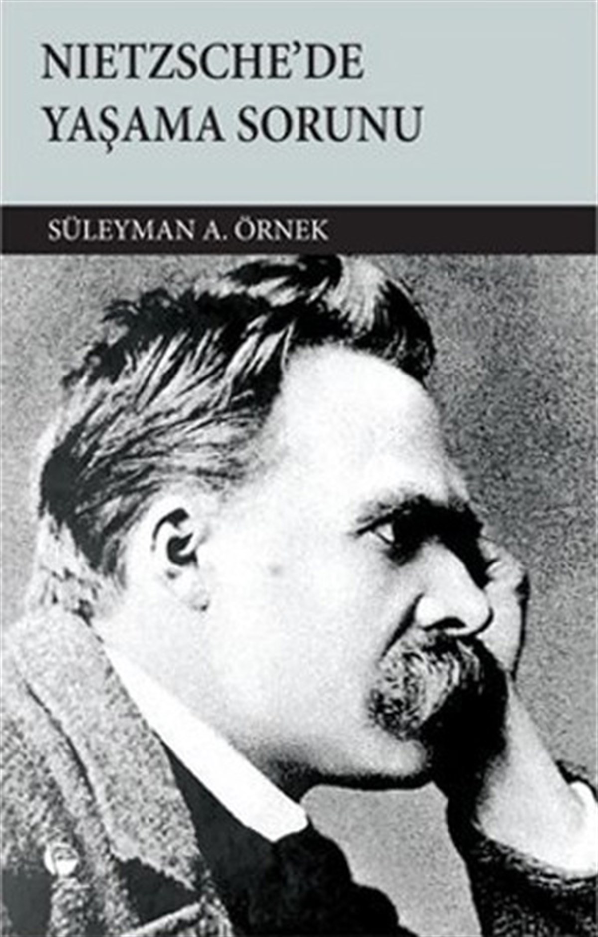 Süleyman A. ÖrnekFelsefe BilimiNietzsche'de Yaşama Sorunu