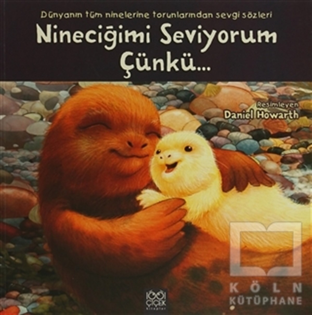 KolektifHikayelerNineciğimi Seviyorum Çünkü