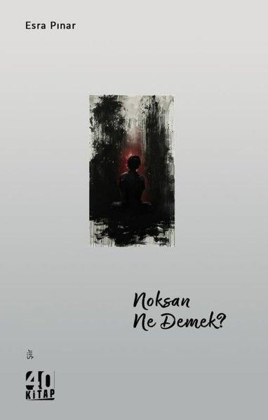 Esra PınarTürk ŞiiriNoksan Ne Demek?