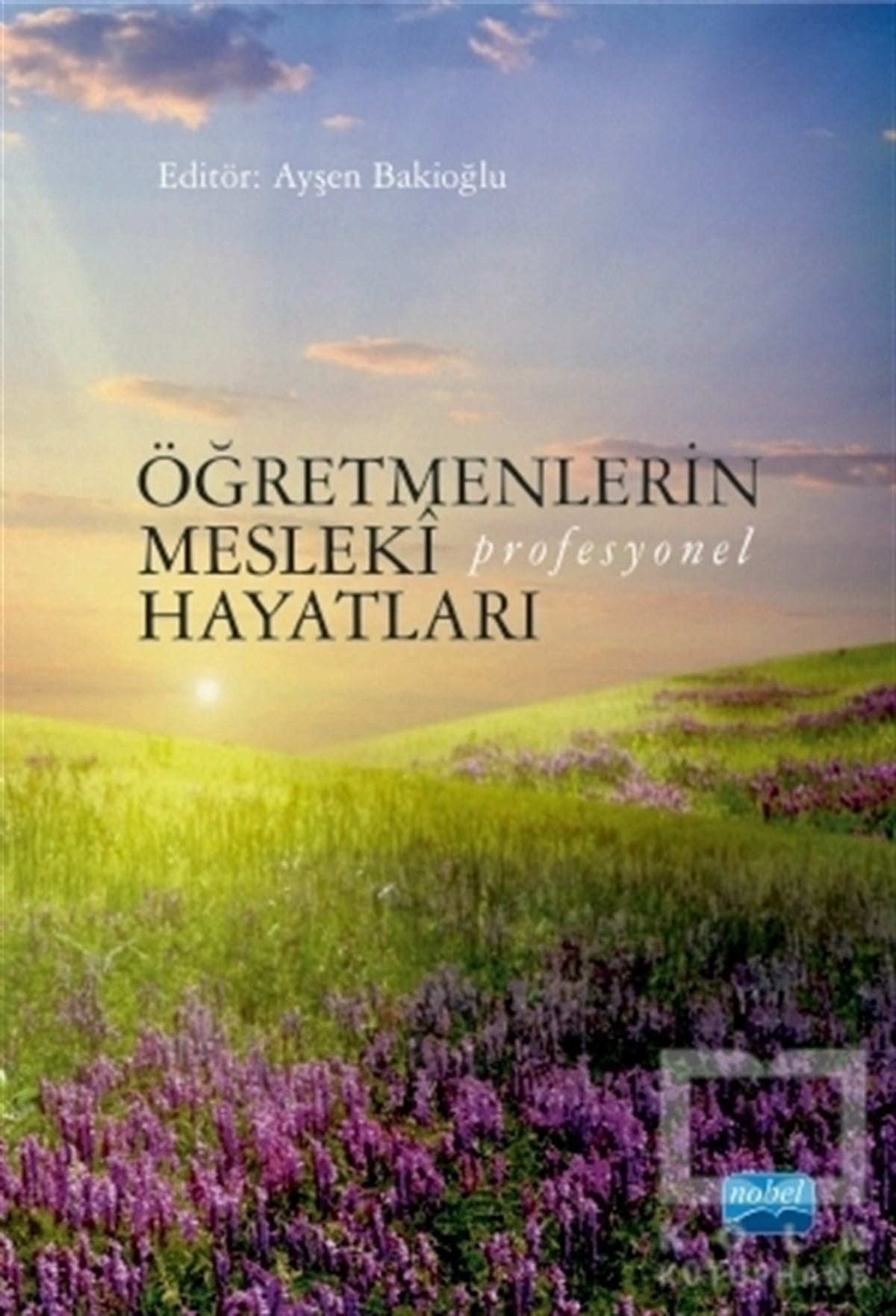 Bahar ÖzgenAkademikÖğretmenlerin Mesleki (Profesyonel) Hayatları