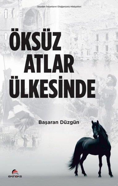 Başaran DüzgünTürkiye RomanÖksüz Atlar Ülkesinde