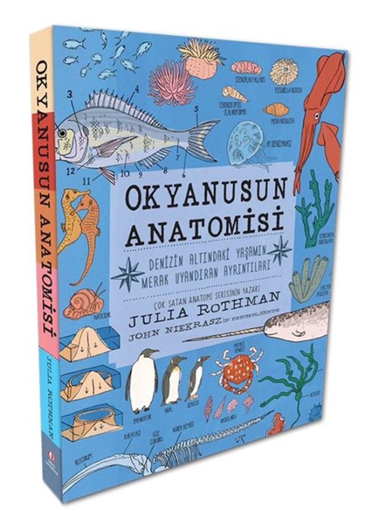 Julia RothmanBeliebte WissenschaftsbücherOkyanusun Anatomisi - Denizin Altındaki Yaşamın Merak Uyandıran Ayrıntıları