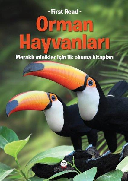 KolektifÇocuk Hikaye KitaplarıOrman Hayvanları - Meraklı Minikler İçin İlk Okuma Kitapları - First Read